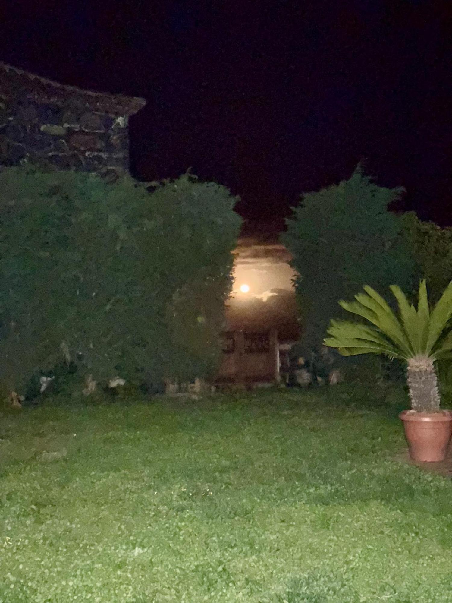 Casa Rural Quinta Los Naranjos Tigalate Exteriér fotografie