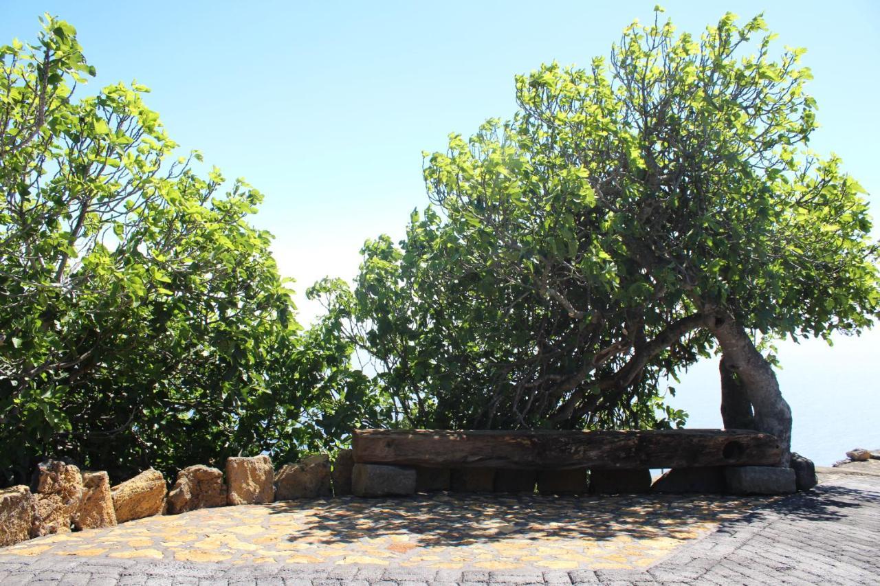 Casa Rural Quinta Los Naranjos Tigalate Exteriér fotografie